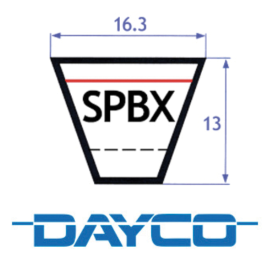205.SPBX560